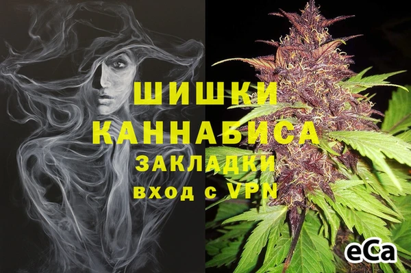 не бодяженный Новозыбков