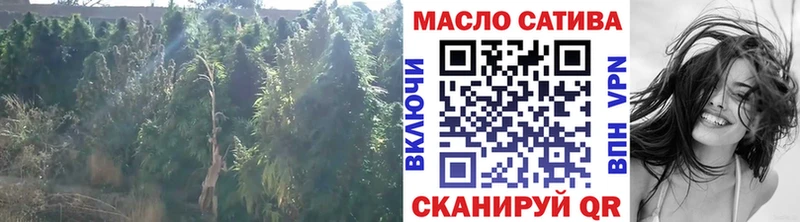 это Telegram  Белая Холуница  Дистиллят ТГК гашишное масло 